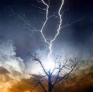 1 Lightning struck tree 4 by Unobtrusivetroll10